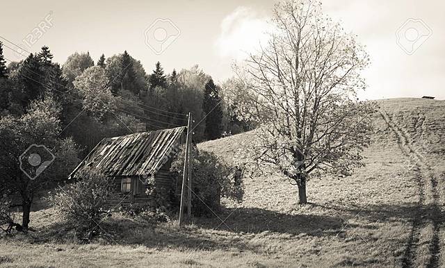 "FIEBRE" DEL REGISTRO FOTOGRÁFICO