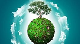 Timeline: Geografía ý Cuidado del Entorno