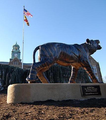 My College Graduation