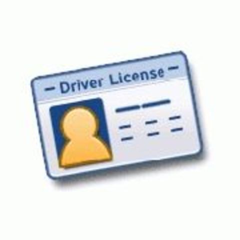 Driver's License