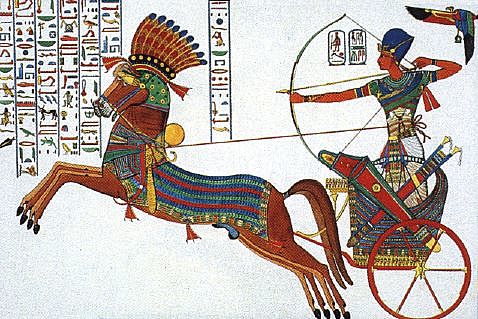 Política e Sociedade