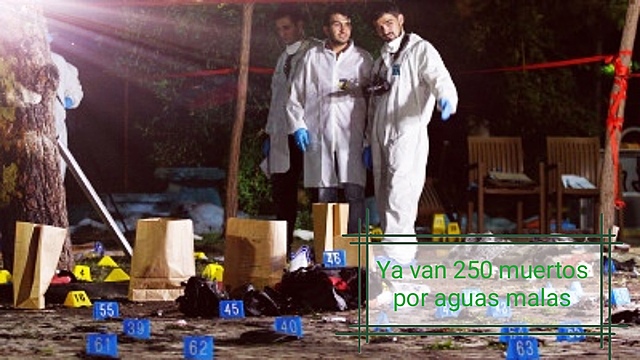 MUERTES INEXPLICABLES A NIVEL MUNDIAL ENCIENDEN LA ALARMA