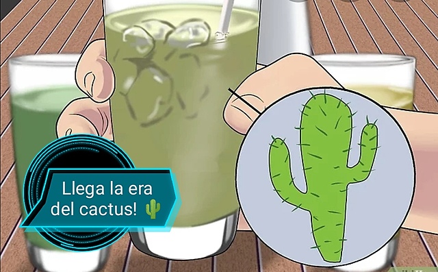 LA ERA DEL CACTUS
