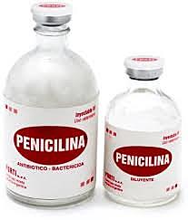 La penicilina.