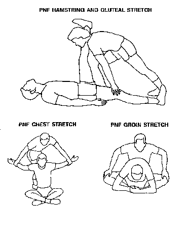 Facilitación Neuromuscular Propioceptiva