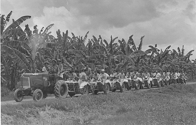 Masacre de las bananeras.
