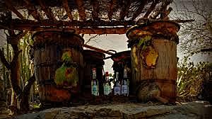 First mezcal trade route