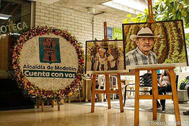 PROPUESTA METODOLÓGICA