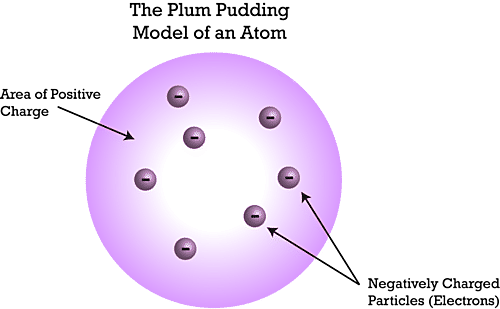 Plum pudding model