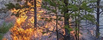 Greenhouse gases and human-made emmisions found deeply involved in climate change