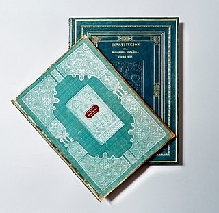 Nueva constitución progresista