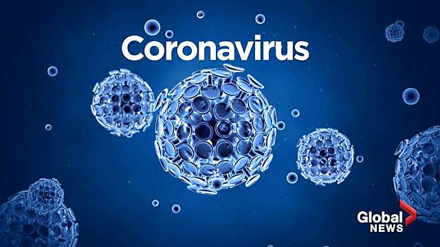 CORONAVIRUS (COVID-19)