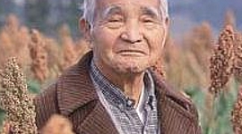 Timeline: Shunji Nishimura e SENAI