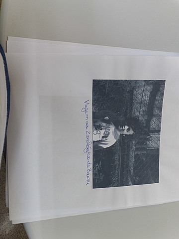 Viagem ao zoo de bauru