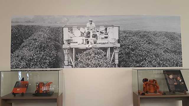 Primeira colheitadeira de café