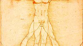 Timeline: History of Drawing by William Navarro