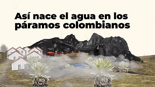 Asi Nace el Agua en los Paramos Colombianos