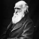 374px charles darwin 01