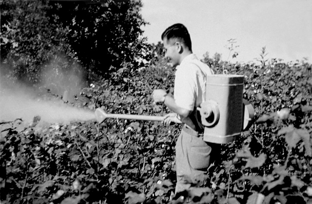 Nishimura cria a polvilhadeira costal