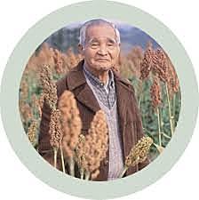 A vinda para o Brasil