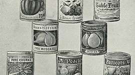 Timeline: Comida Enlatada