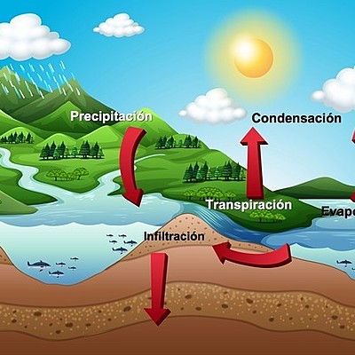 Timeline: ciclo del agua