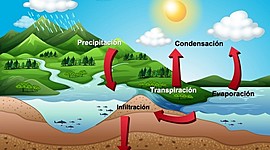 Timeline: ciclo del agua