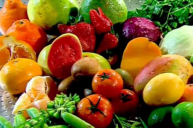 CUIDADO DEL SISTEMA DIGESTIVO