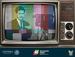 Televisor a color STSC