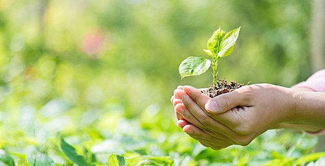 ¿Qué es el medio ambiente?