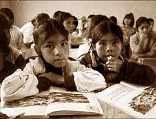 Educación socialista