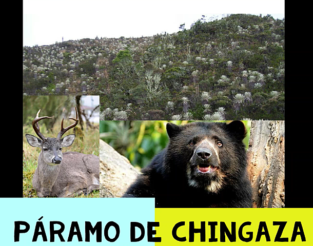 Páramo de Chingaza