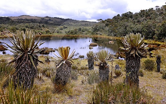 Páramo de Belmira