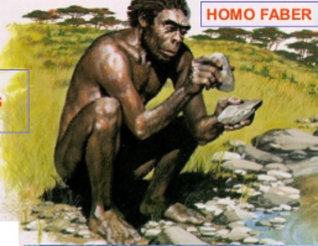 Homo Faber