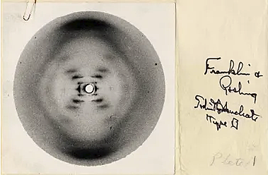 Rosalind Franklin