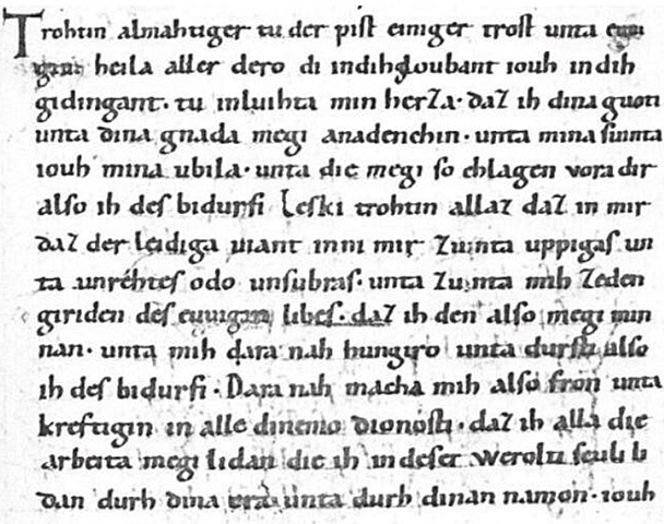 La minuscola Carolina