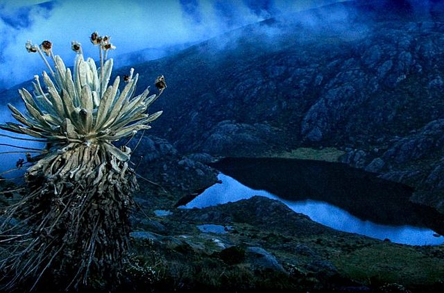 Páramo de Santurbán