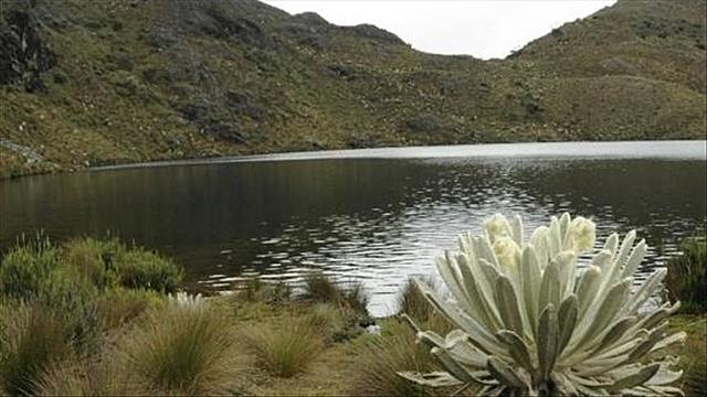 Protección del páramo de Santurbán