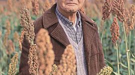 Timeline: Linha do Tempo Shunji Nishimura e SENAI