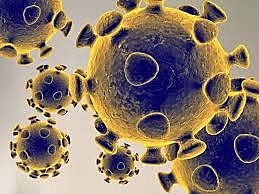 First case of COVID-19