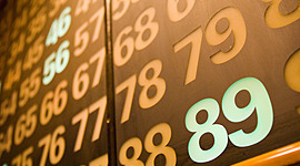 Timeline: Cronograma