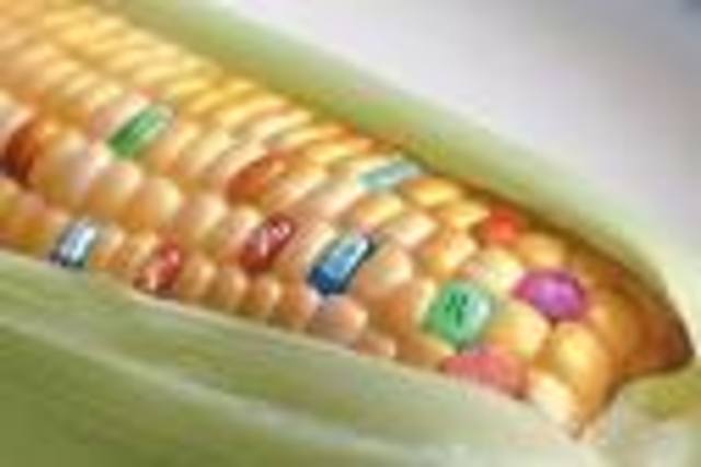 Genetically engineered food