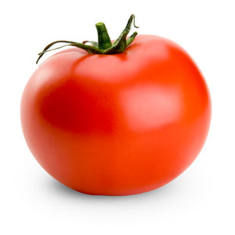 Grew Tomato