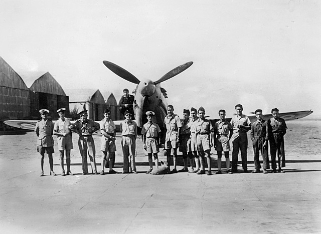 British and French planes bomb Egyptian airfields