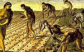 6a etapa: Capitalismo primitivo.