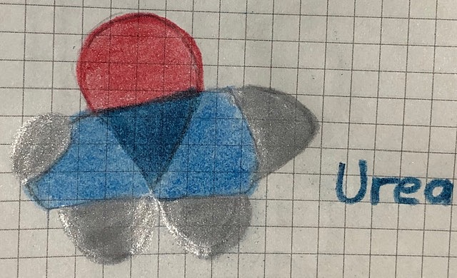 Síntesis de la Urea