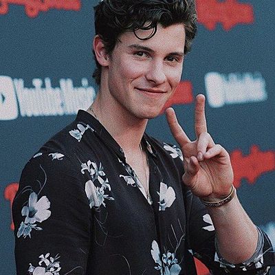 Timeline: Shawn Mendes