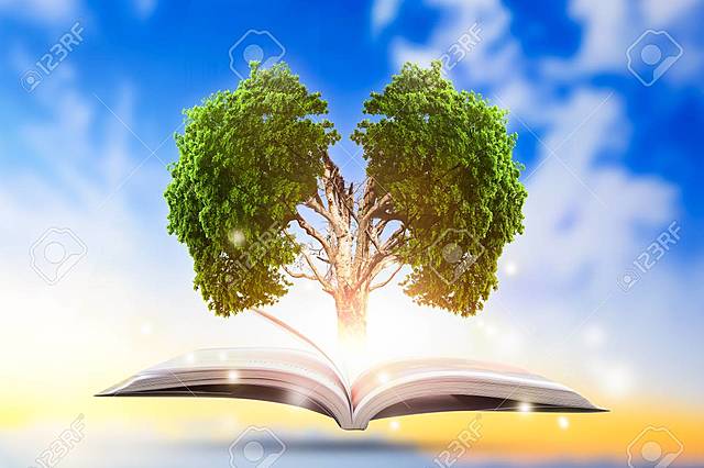 1977 Declaraciones de Tbilisi