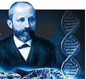 Descubrimiento de la Nucleína