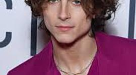 Timeline: Timothée Chalamet